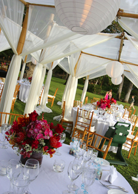 canopies with red accents