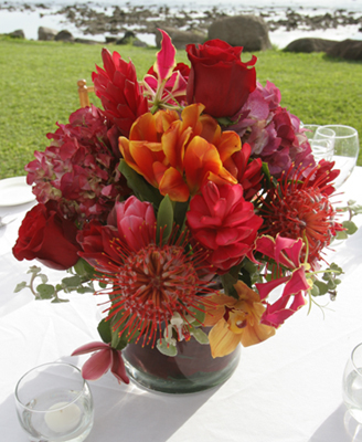 red pincushion protea for wedding