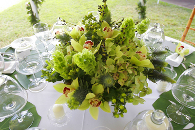 exotic green centerpeice for maui wedding reception