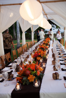 canopy with brown and orange theme