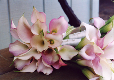 Blue Sky Weddings Maui bouquets of lilies