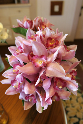 brides bouquet pink orchids