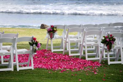 ocean pink flowers