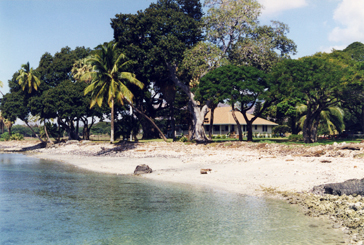 Beach view Olowalu