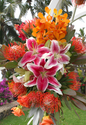 stargazer lilies