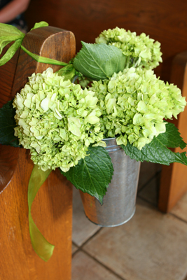 green hydrangea pew flowers