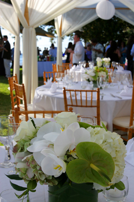 heart shaped green antherium  in centerpiece