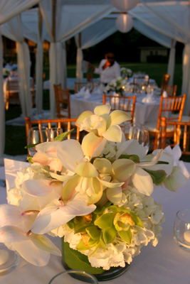 flowers for a maui wedding