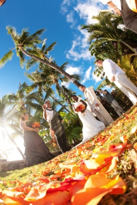 orange rose petal path