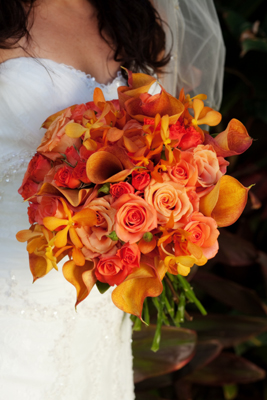 apricot rose wedding 