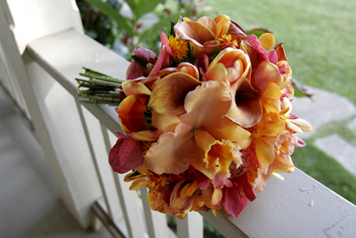 orange and peach orchids