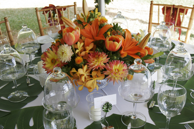 exotic mix of orange flowers