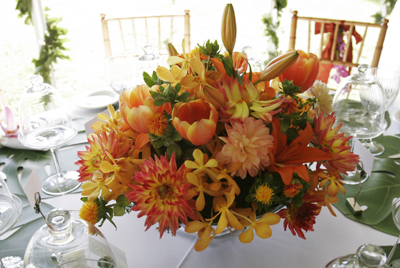 orange themed amui reception