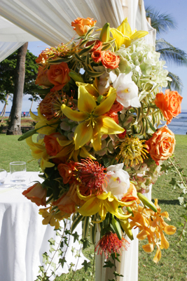 bamboo canopy with yellow flowers