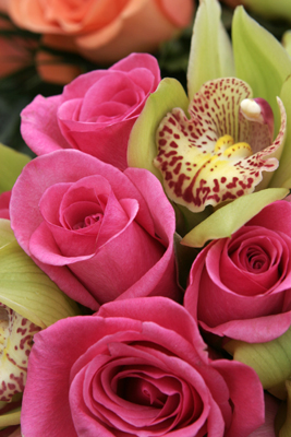 bright pink choice for bride on Maui