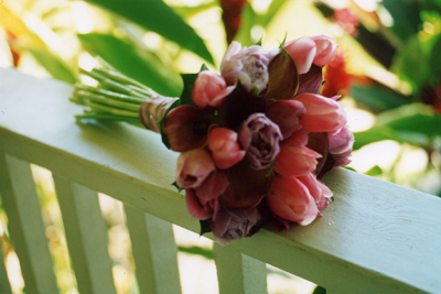 violet tulips with deep plum lilies maui