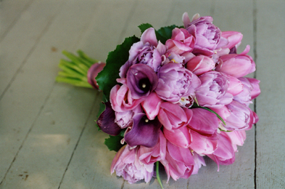 lavender and pink fancy tulips