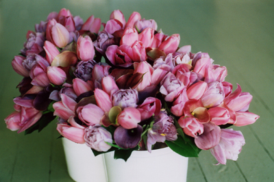 purple and lavender bridal flowers