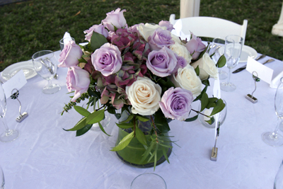 lavender roses, maui