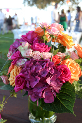 purple hydrangea