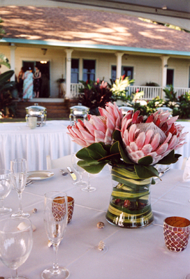 Brides bouquet featured on The Knot by Blue Sky Weddings