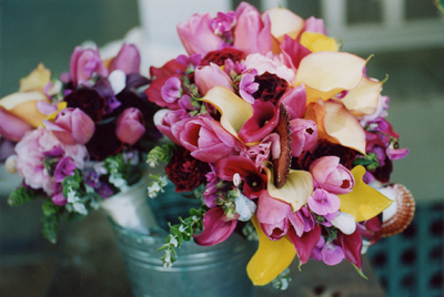 purple orchids