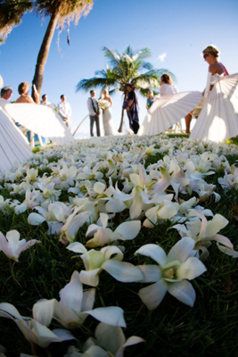 white orchid petal path