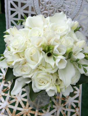 white freesia