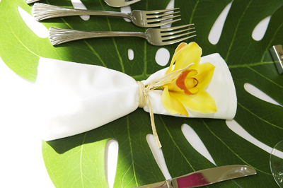 yellow cymbidium orchid napkin tie