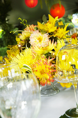 yellow orchid and spider mum