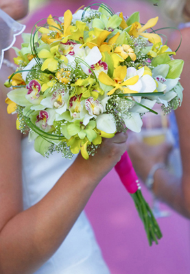 yellow, green and white orchids: Maui