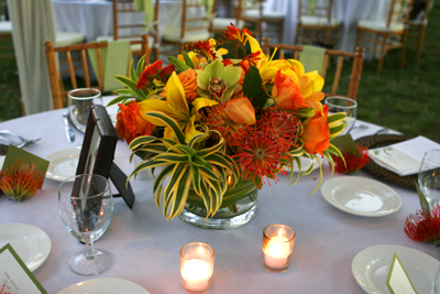 orange pincushions