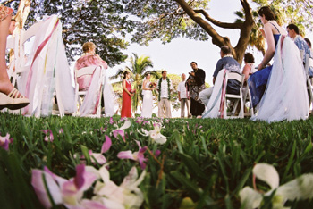 maui wedding