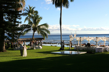 Canopies at Olowalu