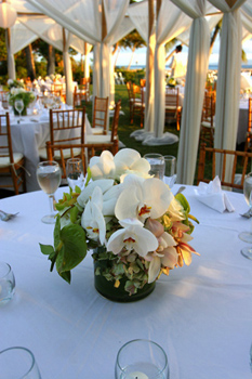 Olowalu dinner set up: Blue Sky Weddings