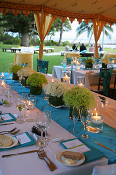 Blue Sky Weddings Maui