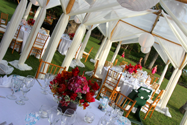 Olowalu dinner canopies