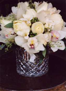 maui ivory flowers