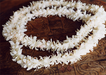 tuberose lei