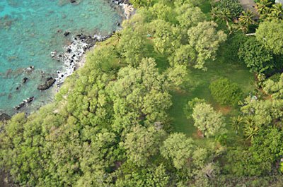 Maui wedding