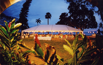 wedding reception tent maui