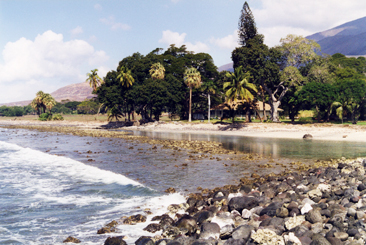 Olowalu jetty