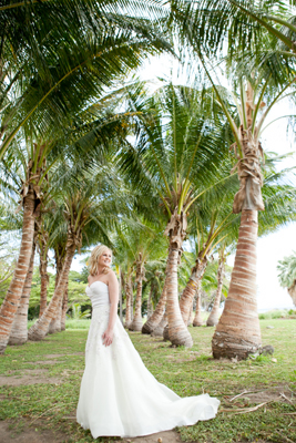 coconut grove at Olowalu Maui