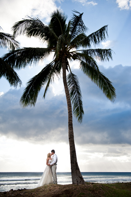 Olowalu Palm 