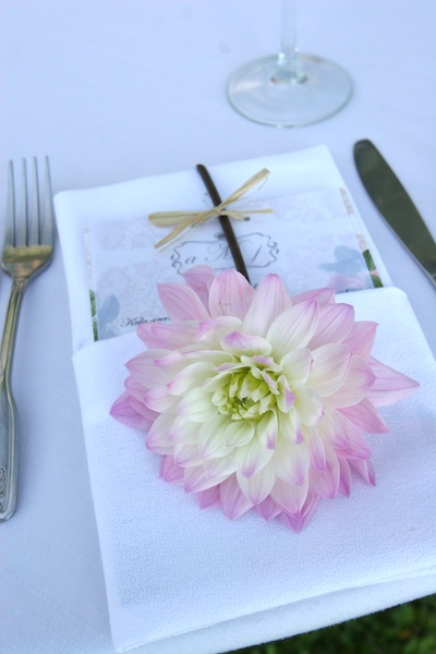 Lavender dalhias for dinner napkin