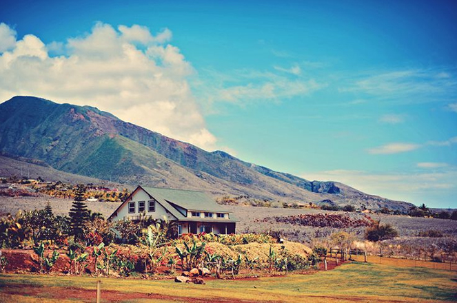 Lahaina Animal Farm